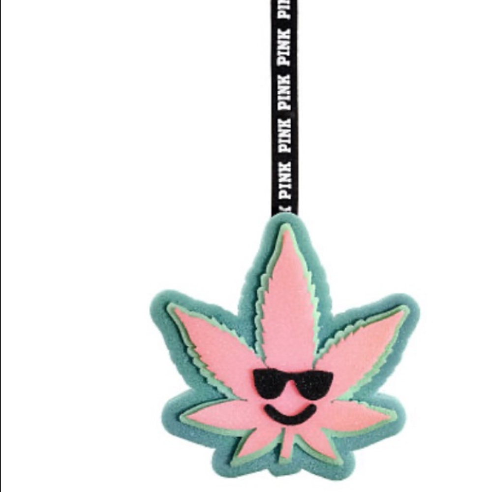Pink Coco chill sponge